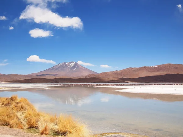 Paysage altiplano avec un lac devant un volcan — Photo