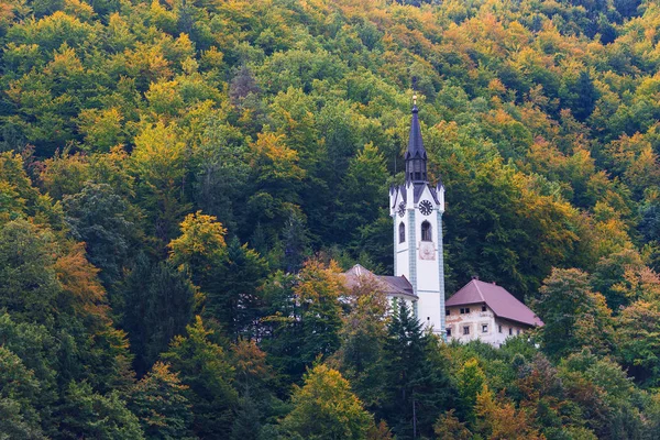 Kostel obklopený stromy s podzimní — Stock fotografie