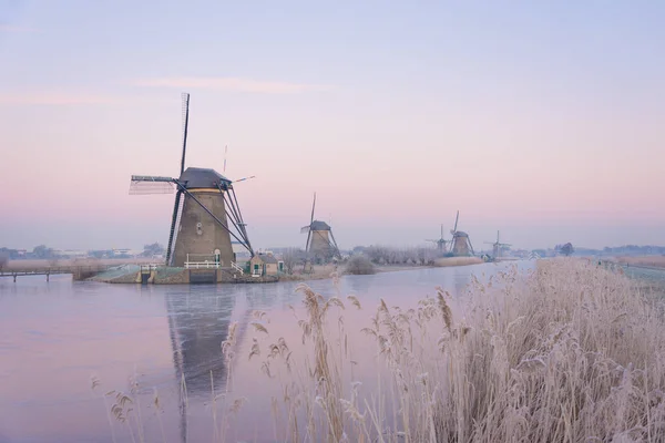 Kışın hafif yumuşak Sunrise Hollanda yel değirmenleri — Stok fotoğraf