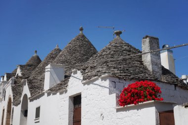 Trulli Alberobello içinde kırmızı Sardunya çiçekler ile evler.