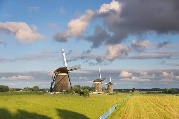 Hollanda kırsalında üç yel değirmeni — Stok fotoğraf