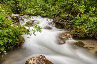 Avisio stream in Val di Fassa