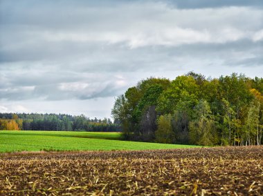 alanlar ve bulutlar ile manzara