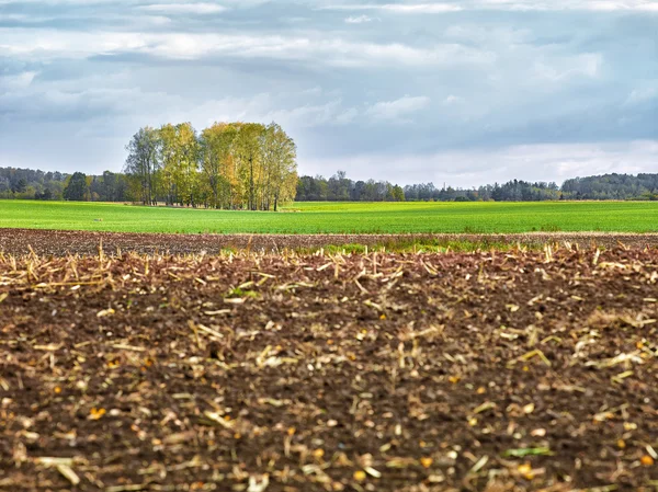 Landskap med åkrar och moln — Stockfoto