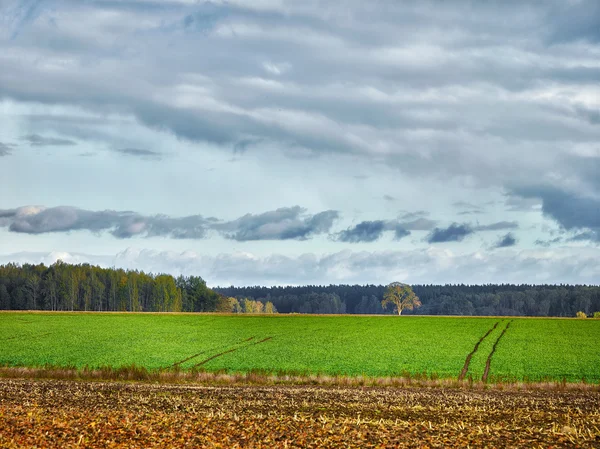 Paisaje con campos y nubes —  Fotos de Stock