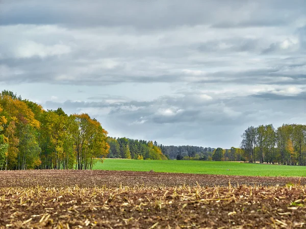 Paysage avec champs et nuages — Photo