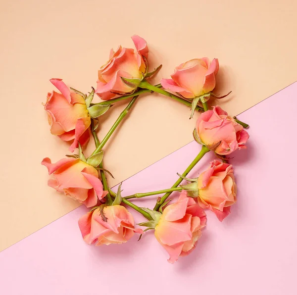 Corona de rosas rosadas —  Fotos de Stock
