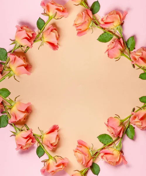 ピンクのバラのフレーム — ストック写真