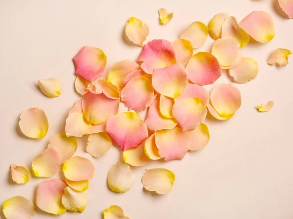 Růžový okvětních lístků růže na béžové papírové pozadí — Stock fotografie