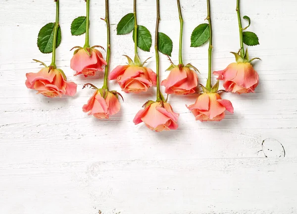 Rosas rosadas sobre mesa de madera blanca —  Fotos de Stock