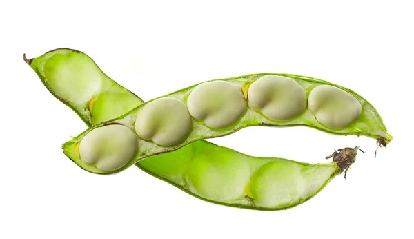 Bean pod geïsoleerd op witte achtergrond — Stockfoto