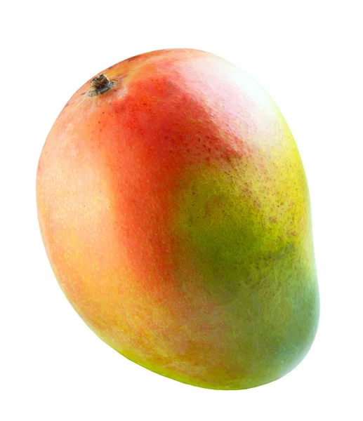 Fruta colorida del mango — Foto de Stock