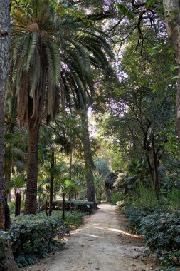 Maria Luisa Park, Sevilla, İspanya