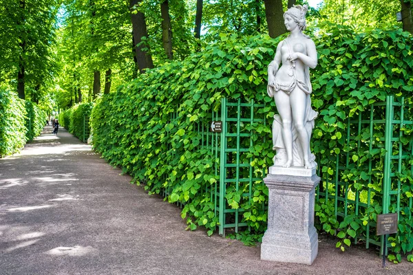 Summer gardens park in Saint Petersburg — Stock Photo, Image