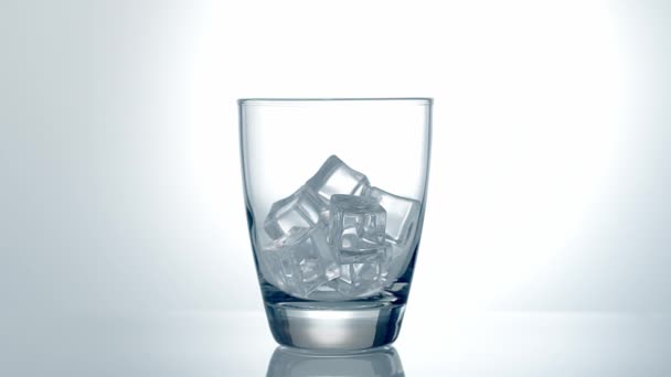 Ice Cubes Falling Glass Slow Motion — Stock video