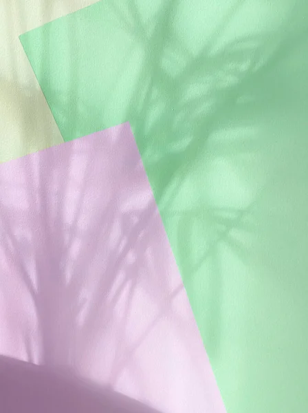 blurred palm tree shadow on abstract various colored paper background
