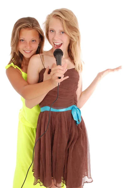 Young beautiful teenage girl conducts interviews with the singer Stock Image