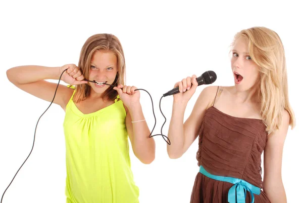 Young beautiful teenage girl conducts interviews with the singer Stock Photo