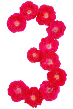 Gül tarafından ortaya konulan üç numaralı