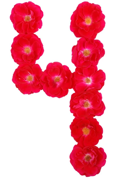 Número cuatro trazado por rosas — Foto de Stock