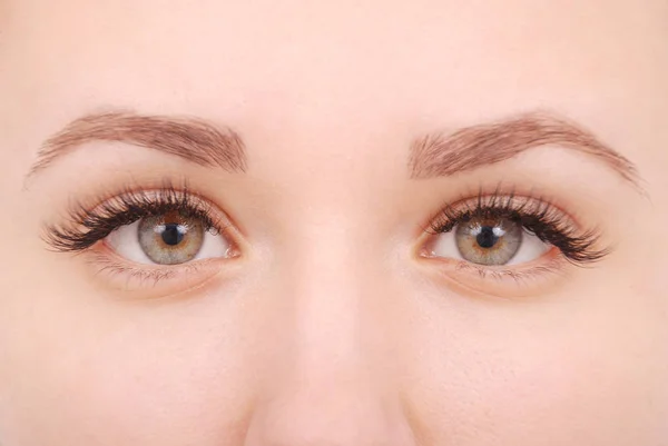 Gyönyörű nő szeme a hosszú szempillák. Stúdió felvétel — Stock Fotó