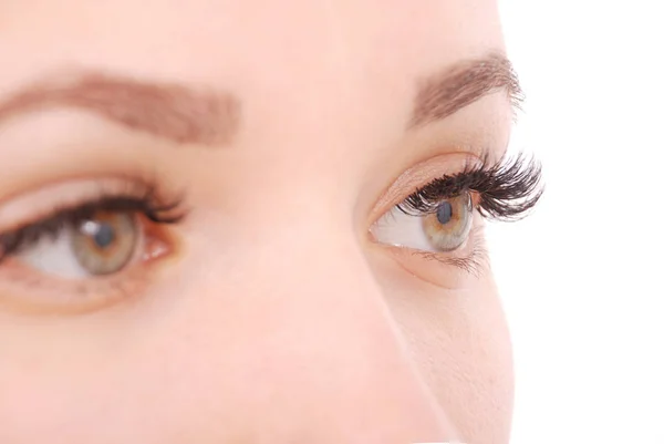 Hermosos ojos de mujer con pestañas largas. Captura de estudio —  Fotos de Stock