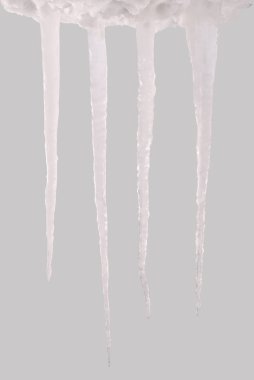 Bir gri (kırpma yolunu izole saçağı)