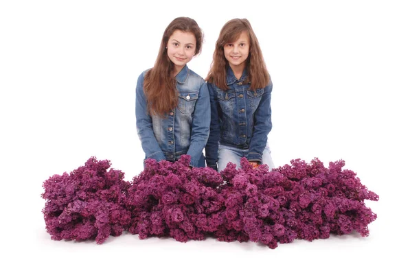 Dos chica atractiva se sienta con lila . — Foto de Stock