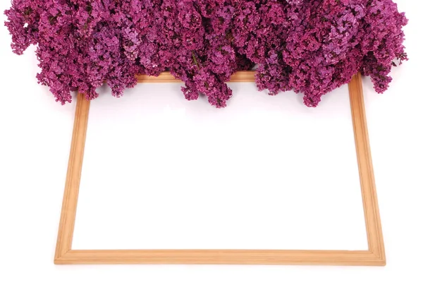 Frame with purple lilac — Stock Photo, Image