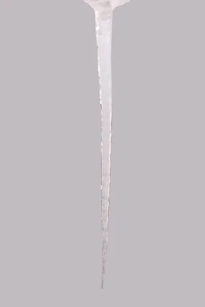 Ледяное мороженое изолировано на сером (Вырезка пути ) — стоковое фото