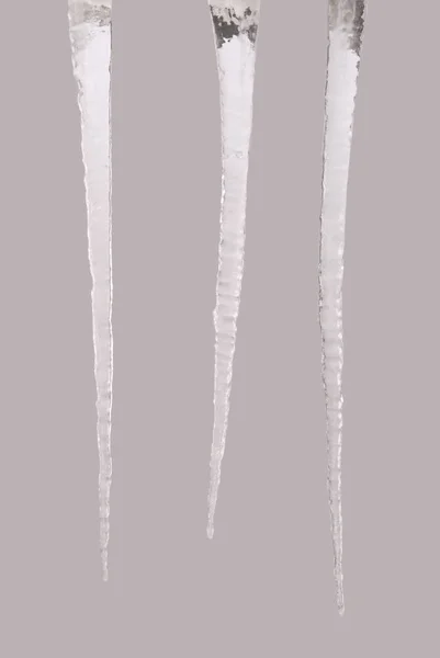 Icicles isolado em um cinza (Três caminho de recorte ) — Fotografia de Stock