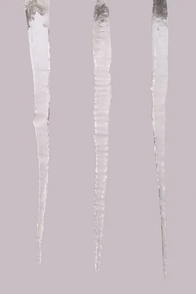 Icicles isolado em um cinza (Três caminho de recorte ) — Fotografia de Stock