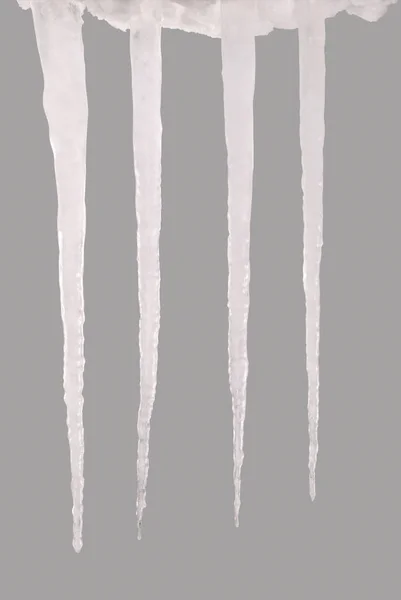 Icicle isolated on a grey (Clipping path) — Stock Photo, Image