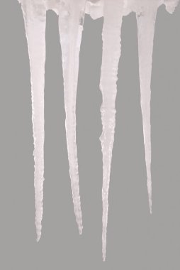 Bir gri (kırpma yolunu izole saçağı)