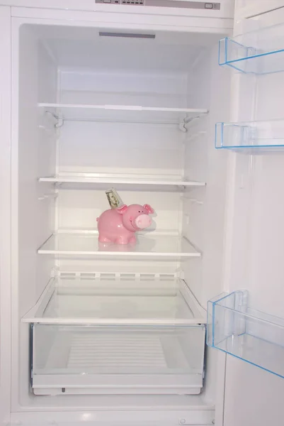 Piggy bank (money box) inside in empty clean refrigerator