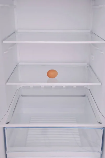 Ein Ei im offenen leeren Kühlschrank. — Stockfoto