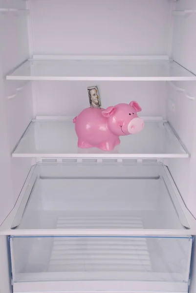 Piggy bank (money box) inside in empty clean refrigerator