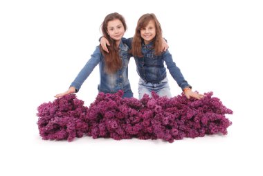 Lila ile iki çekici kız oturuyor.