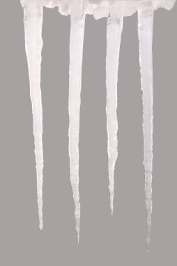 Bir gri (kırpma yolunu izole saçağı)