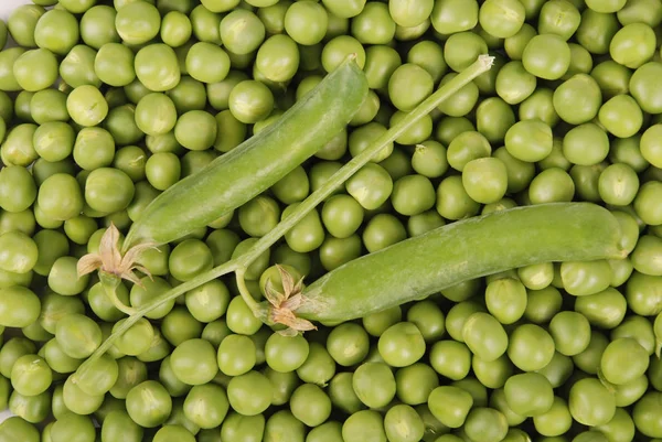 Ervilhas verdes textura de fundo vegetal — Fotografia de Stock