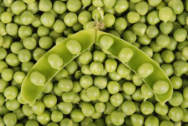 Pois verts texture de fond légume — Photo