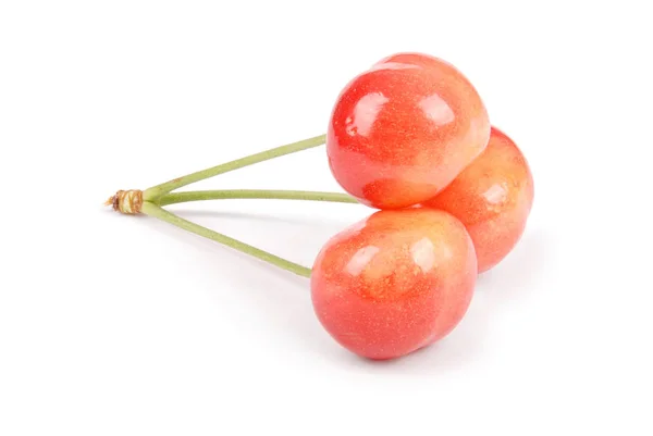 Cerises fraîches mûres — Photo