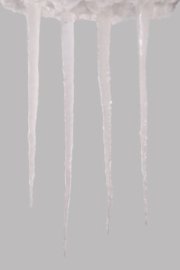 Bir gri (kırpma yolunu izole saçağı)