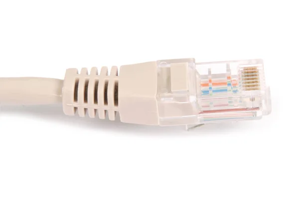 LAN-kabel och kontakt Rj45 — Stockfoto