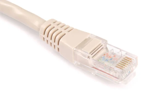 Lan cable and connector RJ45 — Stock Photo, Image