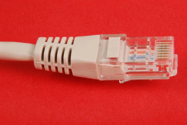 Lan cable and connector RJ45 — Stock Photo, Image