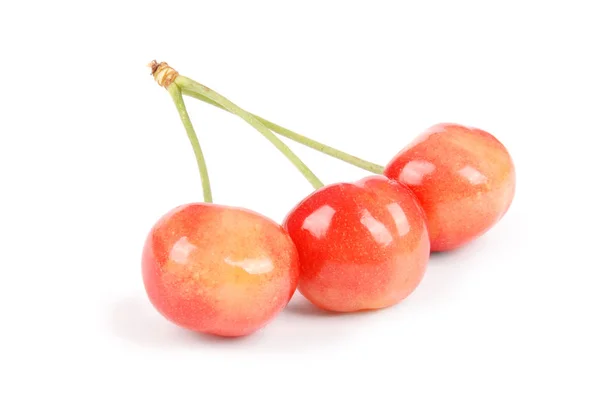 Cerezas frescas maduras — Foto de Stock