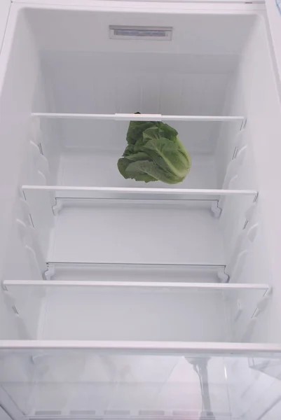 Una ensalada en refrigerador vacío abierto . —  Fotos de Stock