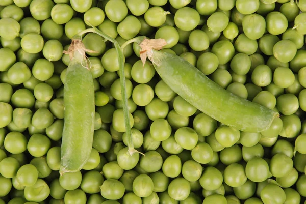 緑のエンドウ豆の背景色野菜 — ストック写真