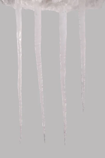 Icicle isolated on a grey (Clipping path) — Stock Photo, Image